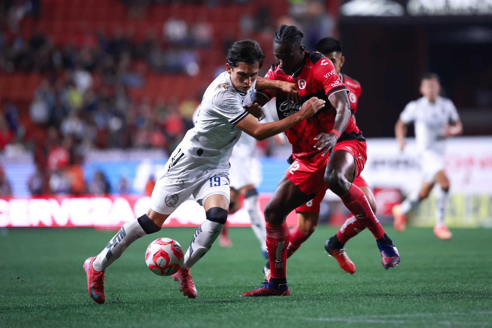 Gallos Blancos