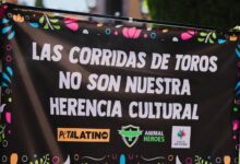 Altar en Querétaro contra corridas de toros