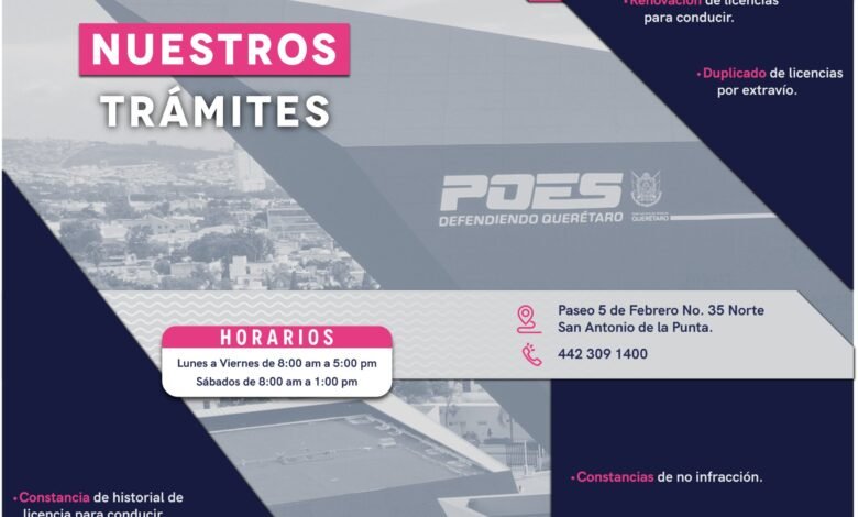 licencias de conducir