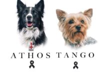 Athos y Tango