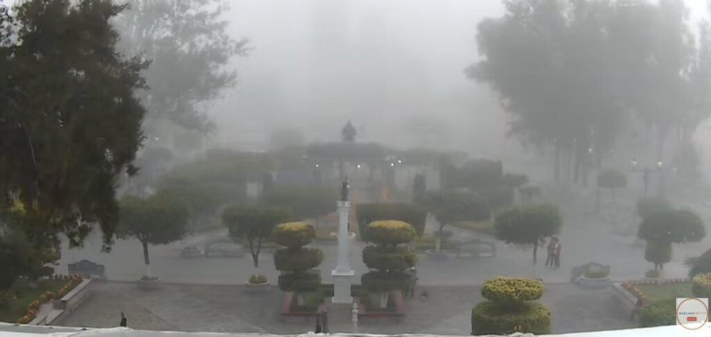 niebla