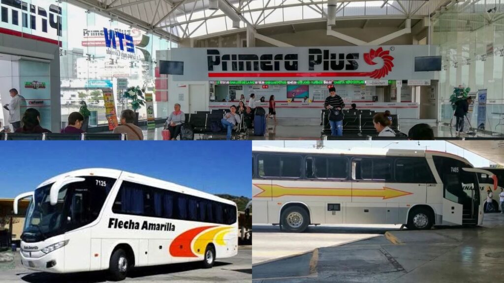 Flecha Amarilla suspende servicios de transporte