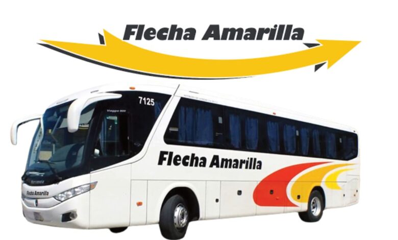 Flecha Amarilla suspende servicios de transporte