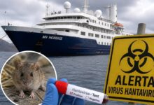 hantavirus