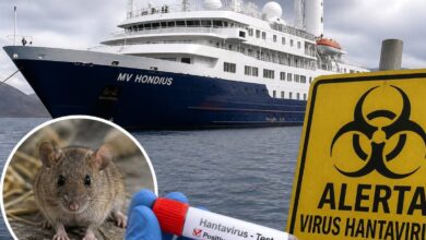 hantavirus