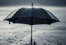 lluvias