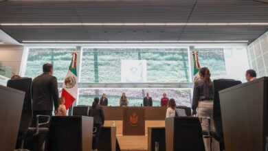 legislatura