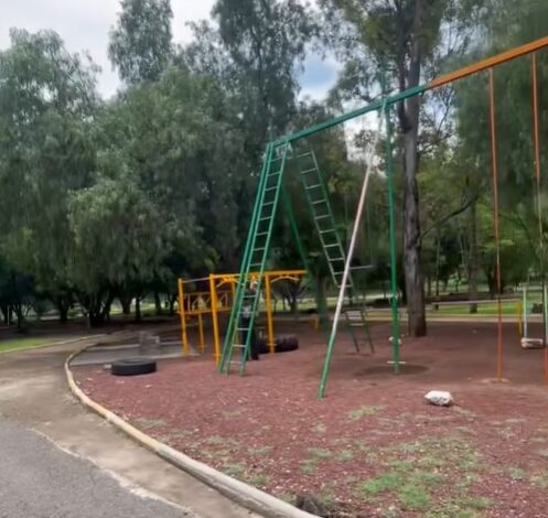 alcanfores