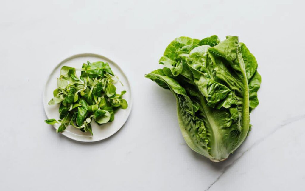 Cyclospora