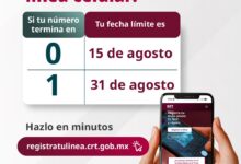 líneas