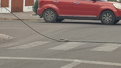 peatón