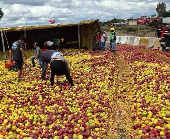 manzanas