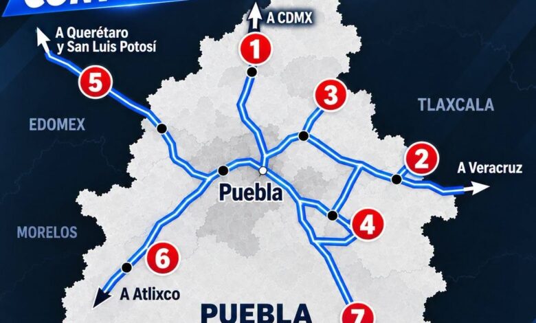 transportistas