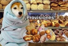frio