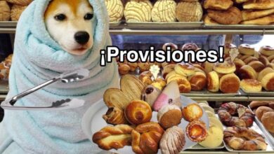 frio