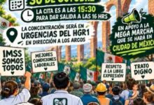 imss